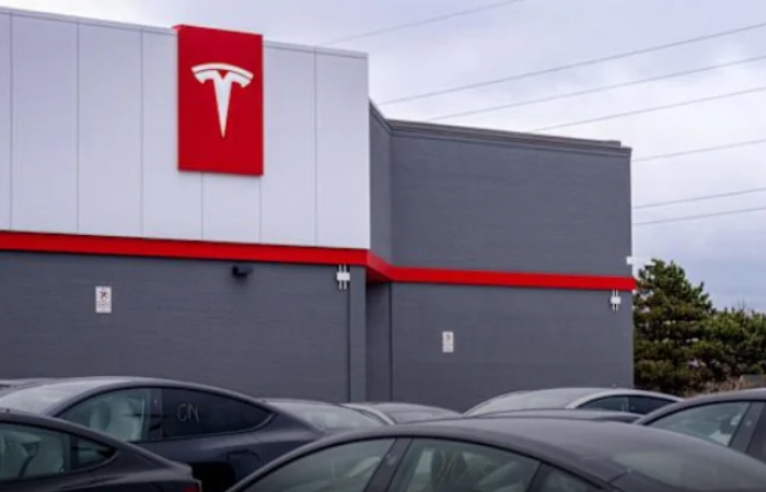 Tesla Q1 2025 vehicle deliveries